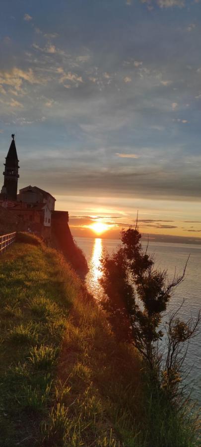 Apartma Marinka *