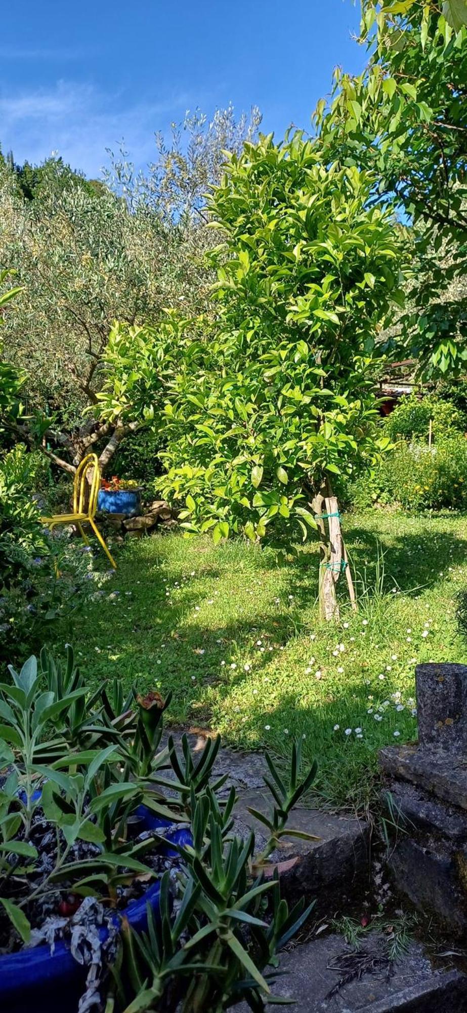 Apartma Marinka * Piran